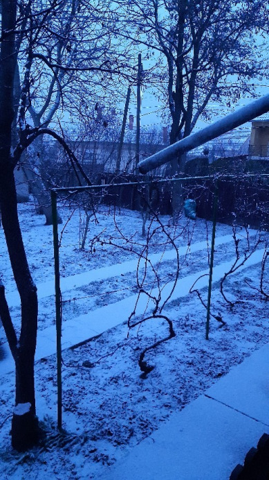 Jászalsószentgyörgy