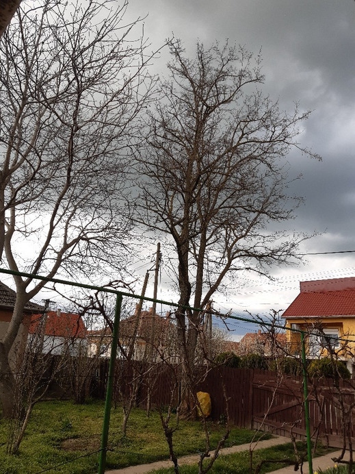 Jászalsószentgyörgy