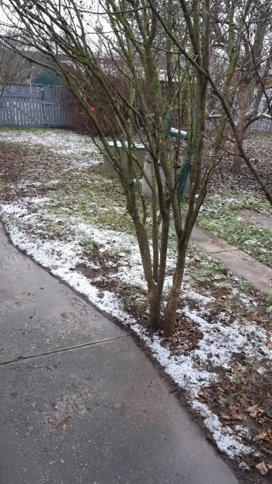 Jászalsószentgyörgy