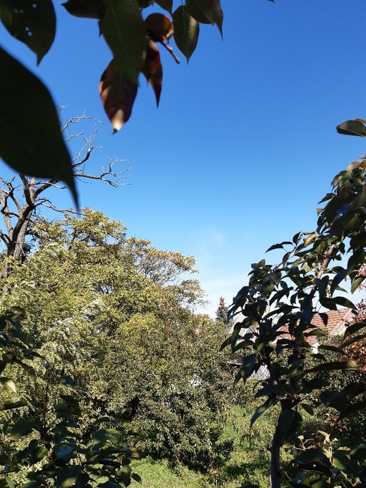 Jászalsószentgyörgy