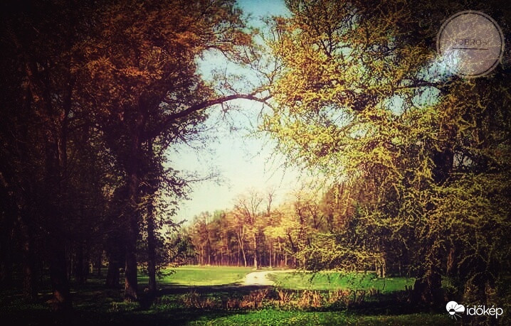 Séta az őszben