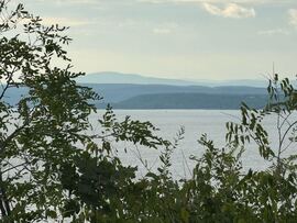 Balatonaliga