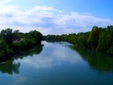 Tisza