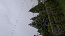 Mátranovák