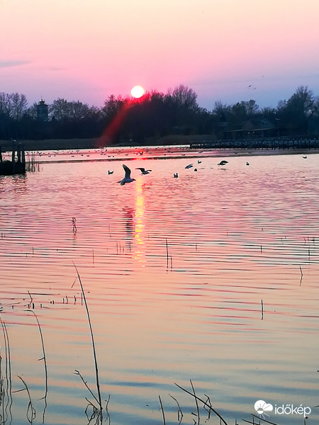 Székesfehérvár - Sóstói sirálytánc