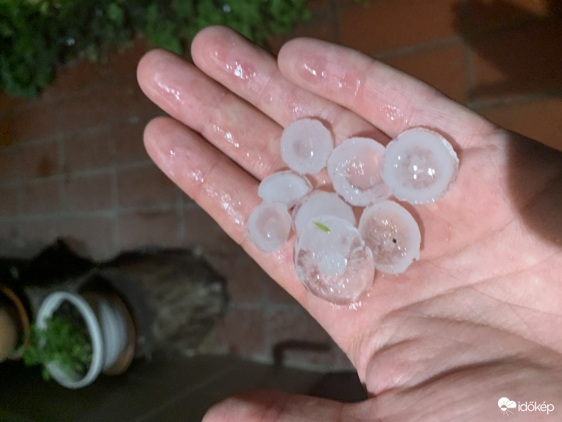 Észlelési fényképek