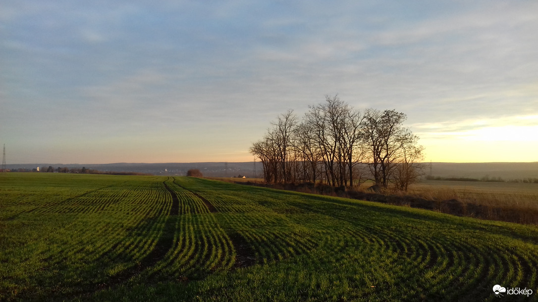 Szép mező karácsonykor