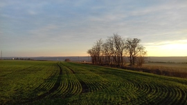 Szép mező karácsonykor