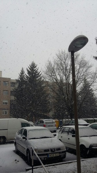 Észlelési fényképek