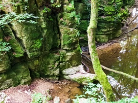 Bakonynána