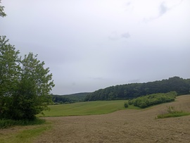 Jásd