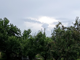 Csesznek