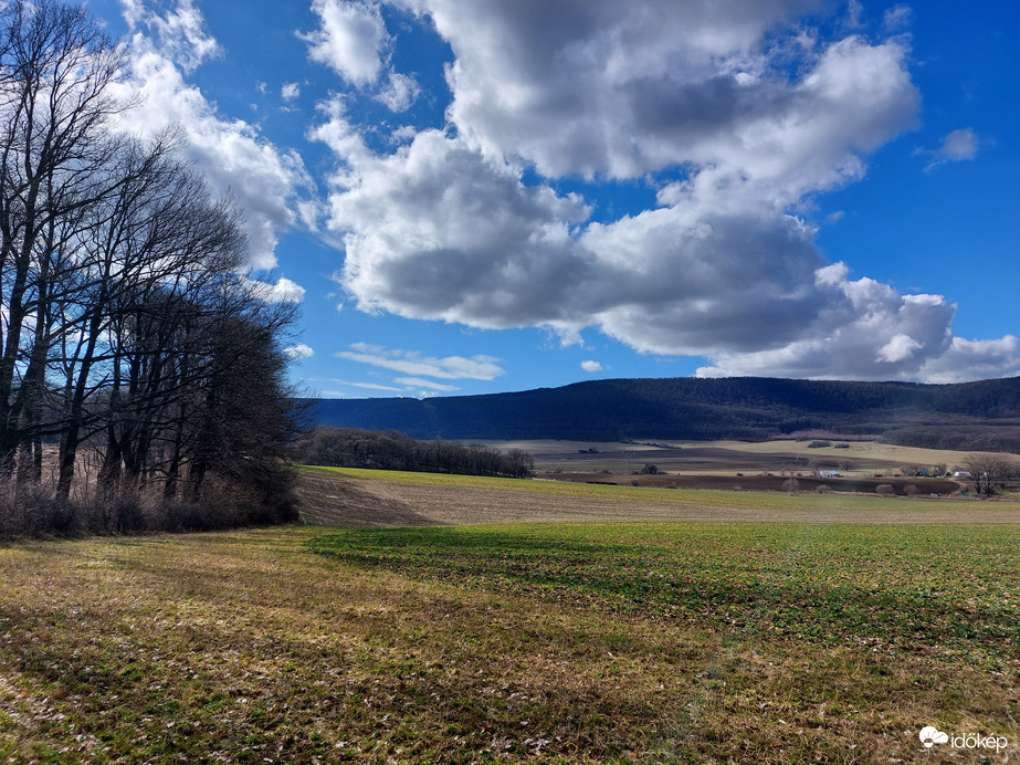 Észlelési fényképek