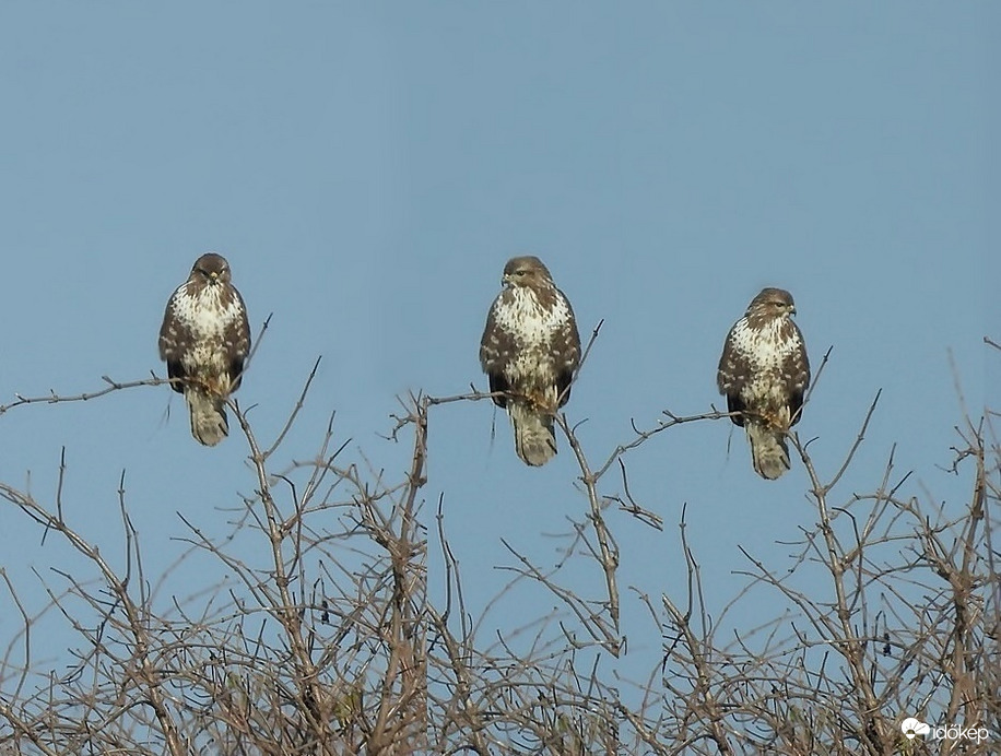 Egyesek szerint sok vagyok