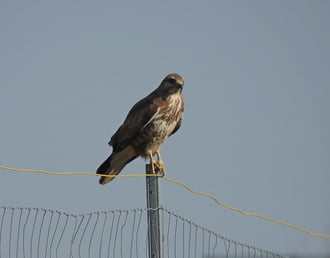 Kedves nyulak!  Hétfő 24:00 -ig nem zaklatlak benneteket!