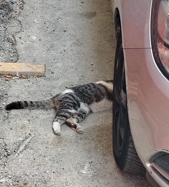 Nem könnyű normális autószerelőt találni 
