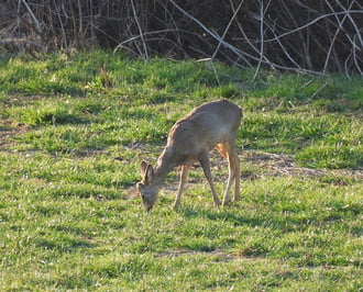 Reggeli feltöltődés