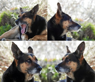 Óraátállítás? Hosszú hétvége? Ünnepnapok? 