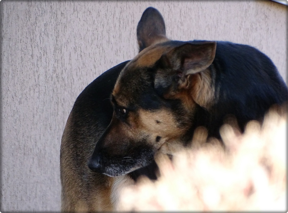 Leadtam neki a drótot