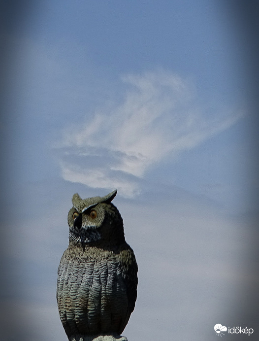 Egyszerű koronázás 