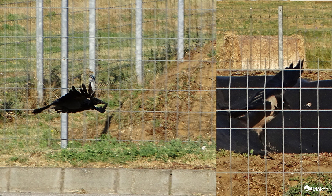 Húzd össze magad,  átférsz! 