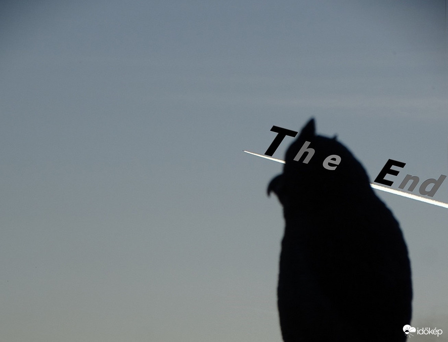 A 18.hét is elfogyasztva