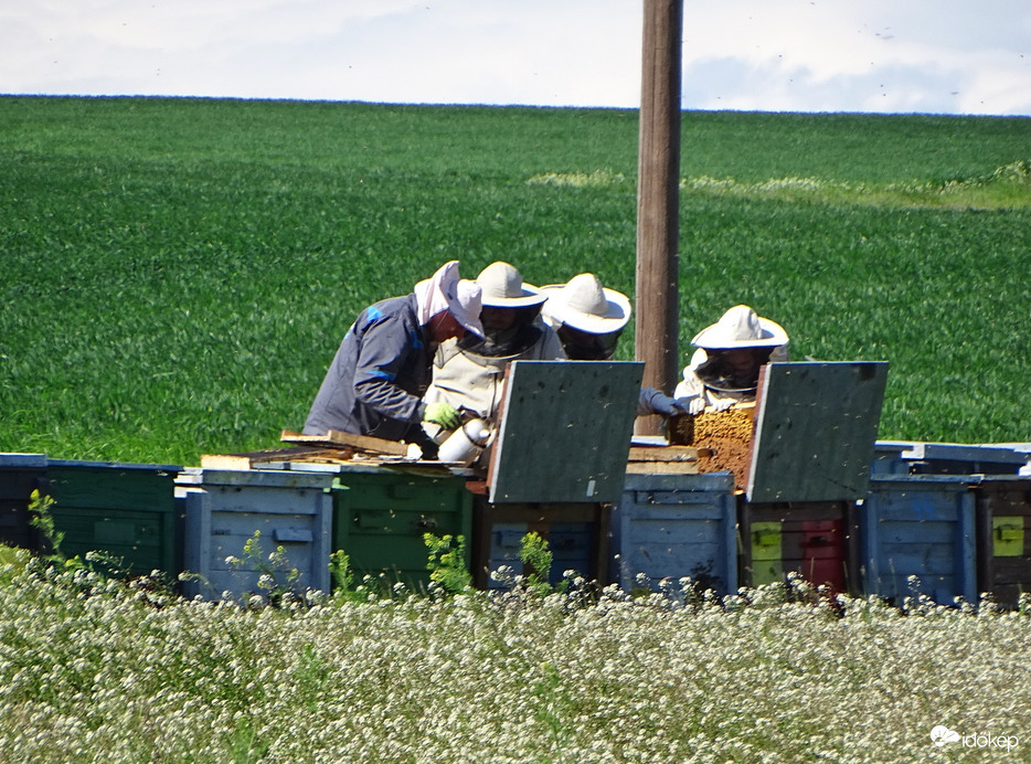 Szorgos dolgos hóvége 