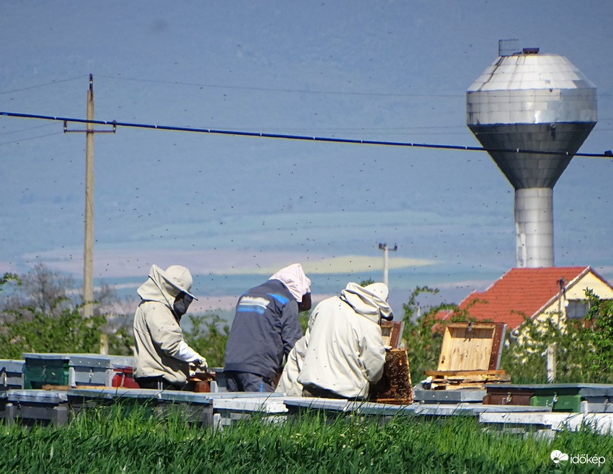 Szorgos dolgos hóvége