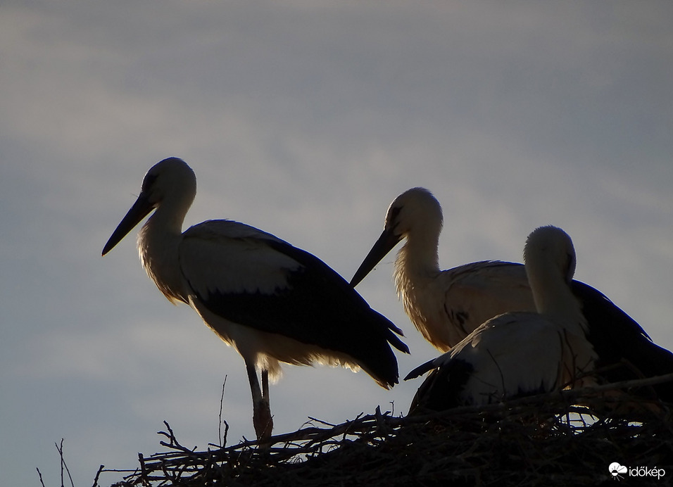 Lassan feljön a Nap 