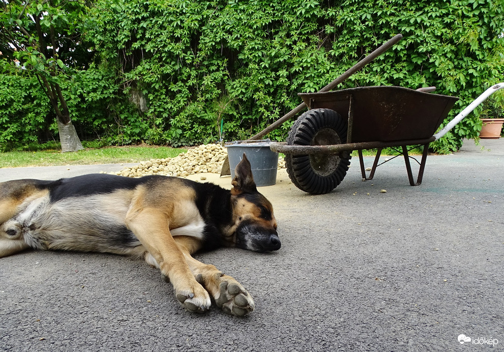 Úgy volt hogy segít!