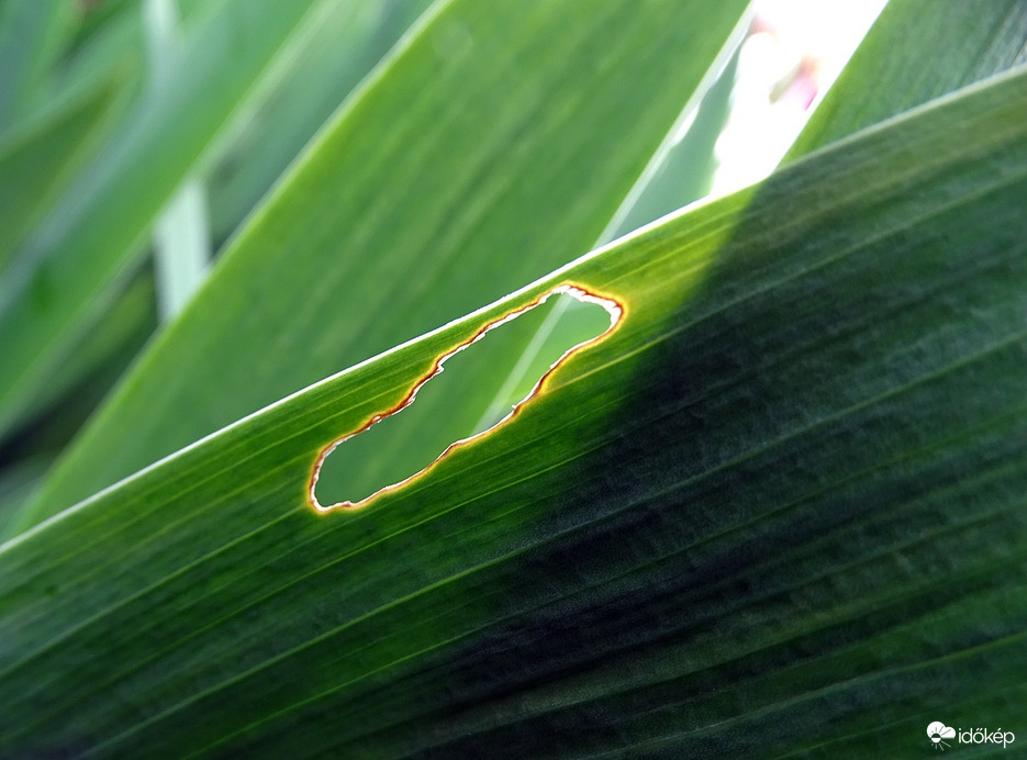 A hiba nem az ön készülékében van 