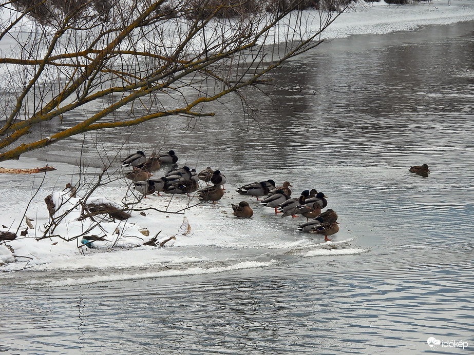 Ideiglenes félsziget a Hernád folyón 