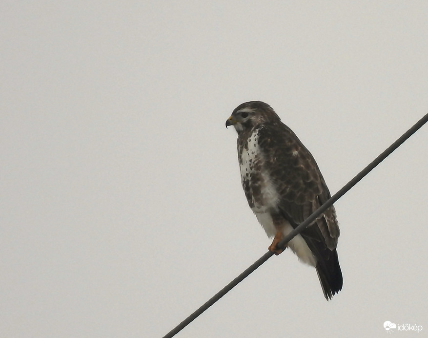 Hol órák, hol csak percek 