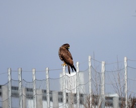 És ami mögöttem van 