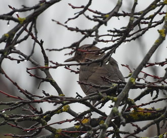 Ez egy ilyen nap volt 