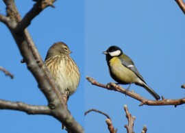 Talán megbeszélhetnénk 
