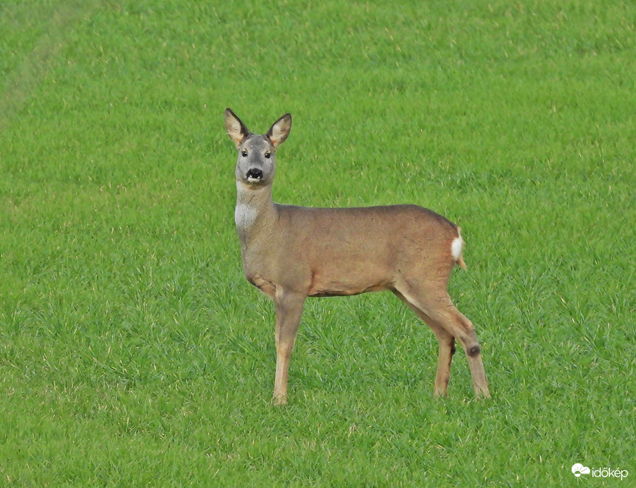 Érdekes hogy süt a Nap