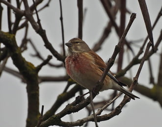 Jelentem, az óraátállítás sikeresen megtörtént! 