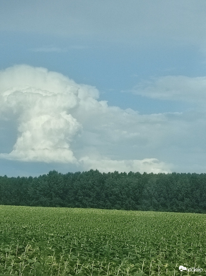 Észlelési fényképek