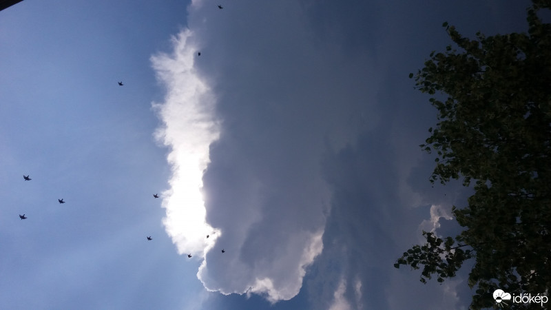 Észlelési fényképek