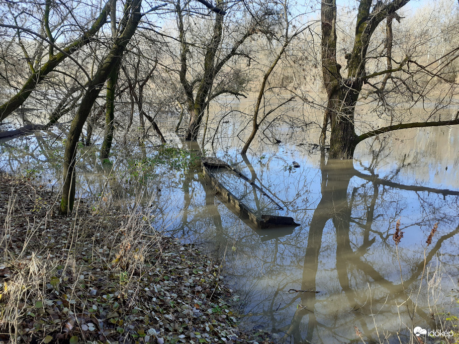 Árad a Tisza