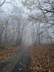 Budapest XII.ker - Normafa