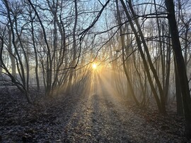 Budapest XII.ker - Normafa