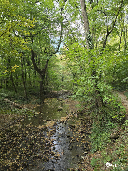 Bodajk