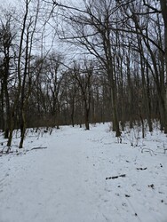 Budapest XII.ker - Normafa