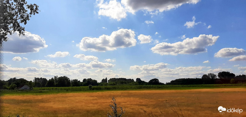 Tájkép
