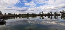 Pék tó