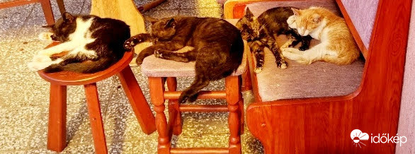 Délutáni szieszta..