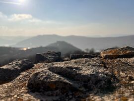 Budapest XV.ker - Pestújhely