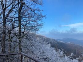 Budapest XV.ker - Pestújhely